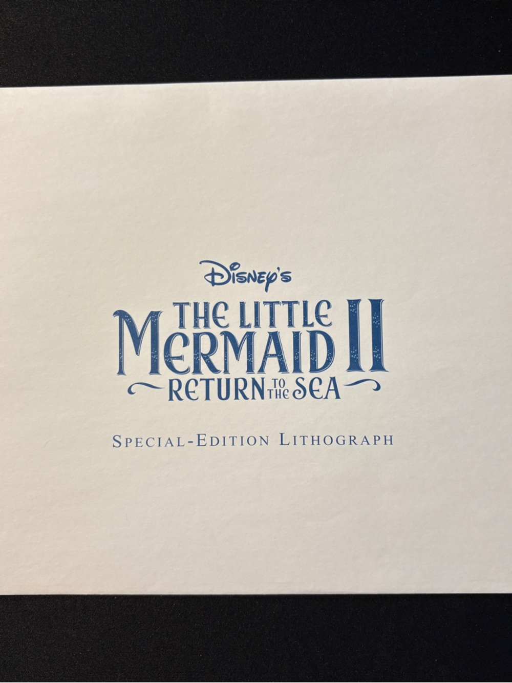 Disney Little Mermaid Return to the Sea Lithograph (1)